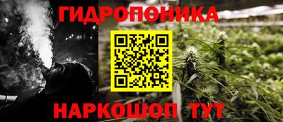 бошки Гатчина