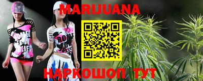 бошки Гатчина