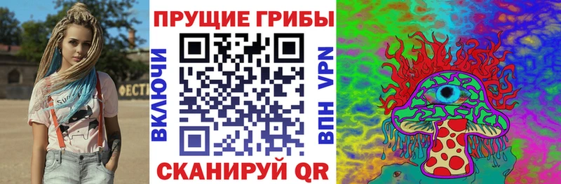 kraken как войти  Мурманск  Псилоцибиновые грибы Psilocybine cubensis 