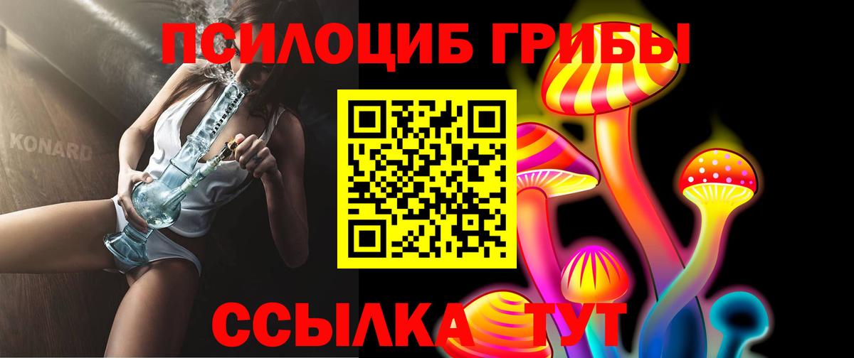 цены наркотик  Псилоцибиновые грибы Psilocybine cubensis  Вход с VPN  Галлюциногенные грибы Cubensis  Мурманск 