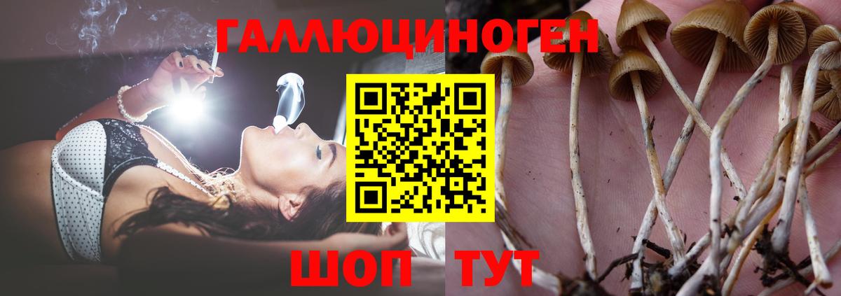 Галлюциногенные грибы мухоморы Мурманск