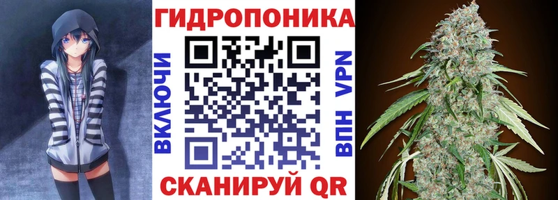 Каннабис семена  что такое   Мурманск 