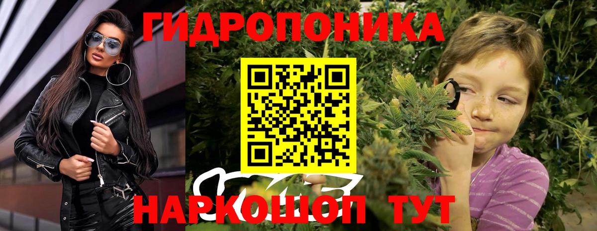Бошки Шишки Bruce Banner  Шишки марихуана ГИДРОПОН  Мурманск  Вход с VPN  Шишки марихуана марихуана 
